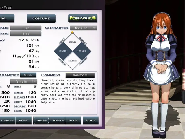 Custom Maid 3D 2