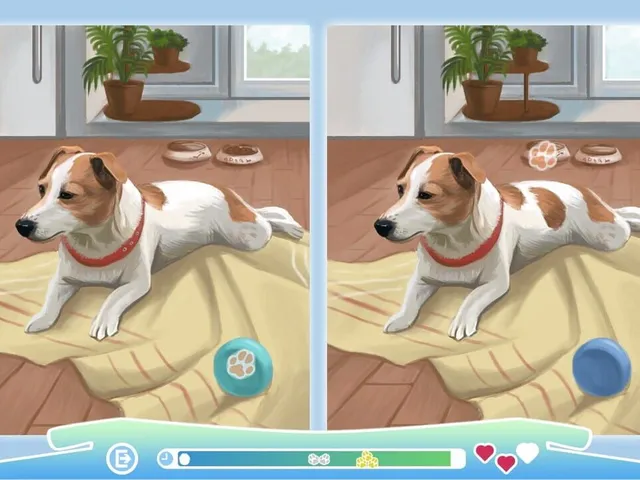 Cute Dogs