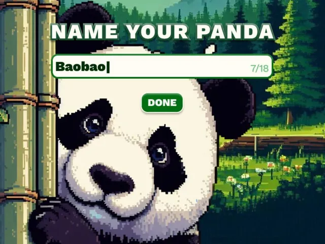 Cutie Panda