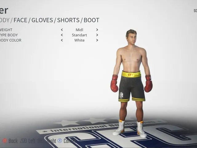 Cyber Fight Challenge