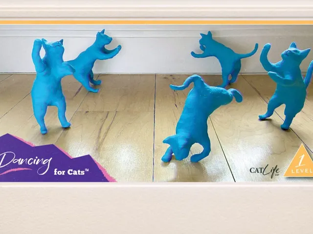 Dancing For Cats
