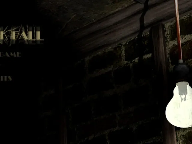 Dark Fall
