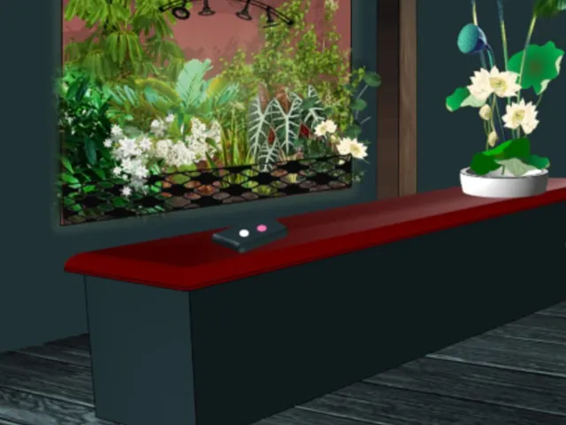 Dasshutsu Game: Momo