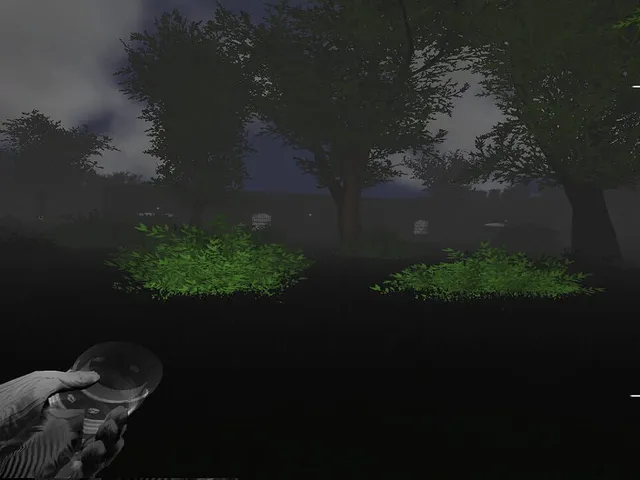 Deadly Forest