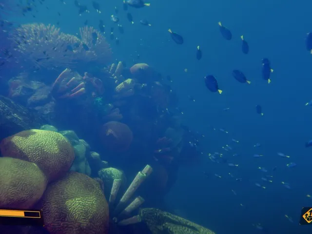 Deep Diving Simulator