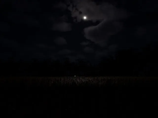Deep in the fields