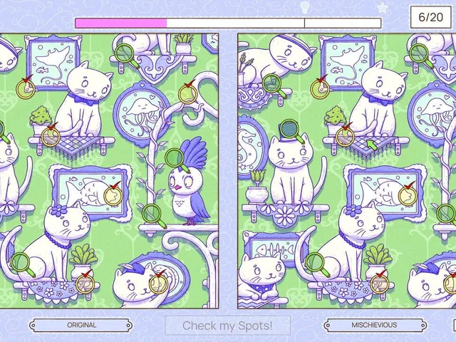 Deja View: A Spot the Difference Game