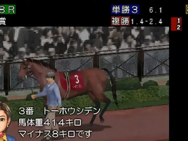 Derby Stallion P