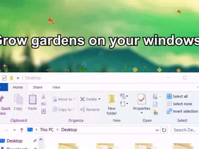 Desktop Meadow