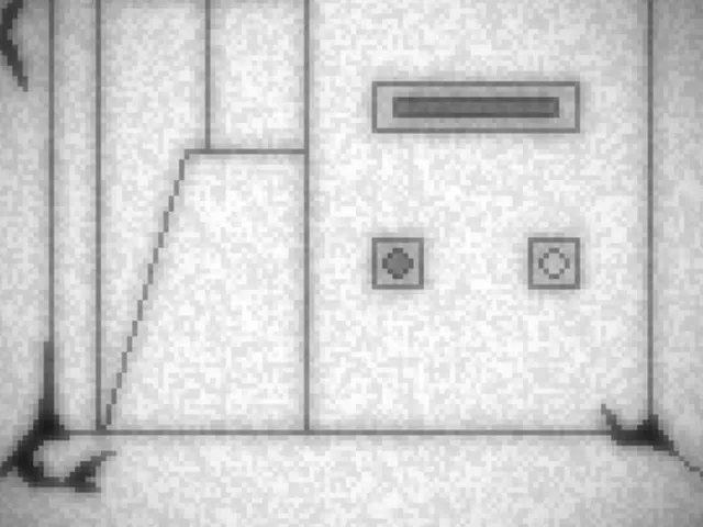 Dimension Collapse