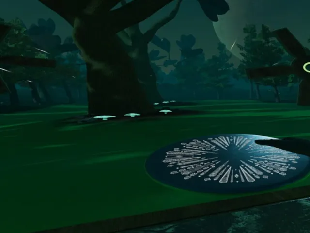Disc Dimension