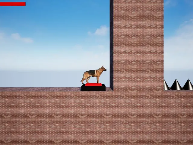 Dog Adventure