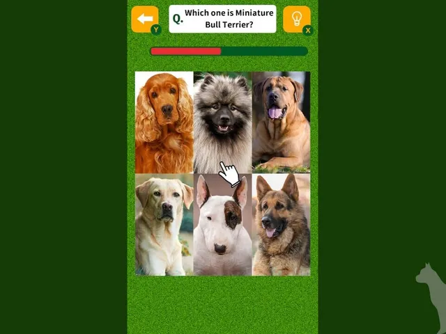 Dog Spotting Challenge!