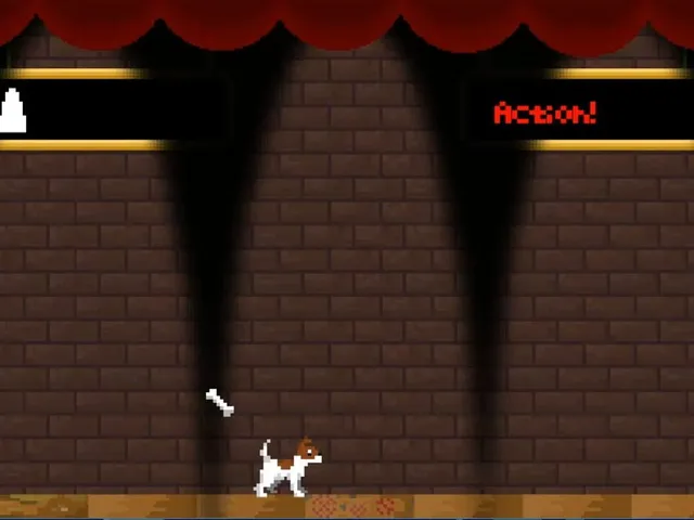 Dog Theatre
