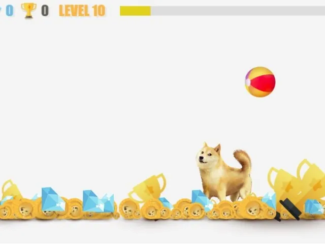 Doge Game