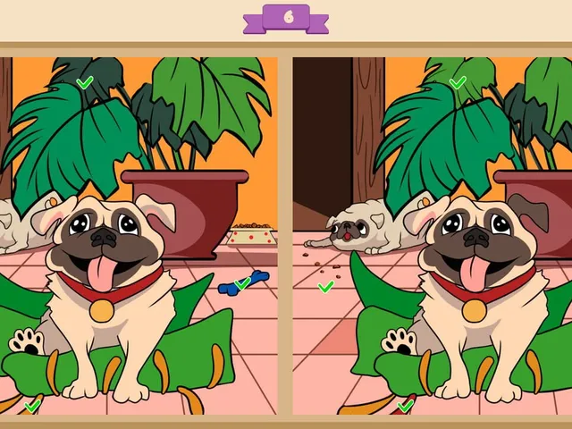 Dogs Contrast