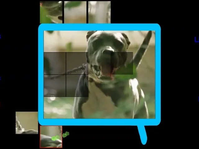 Dogs Cyberpuzzle