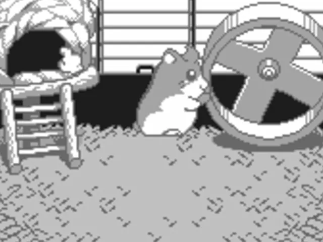 Dokodemo Hamster