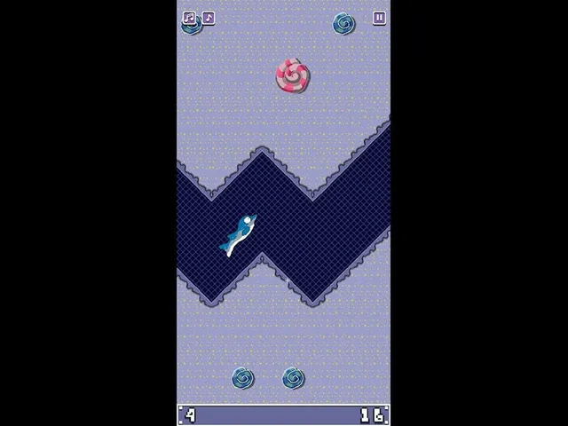Dolphin Swim