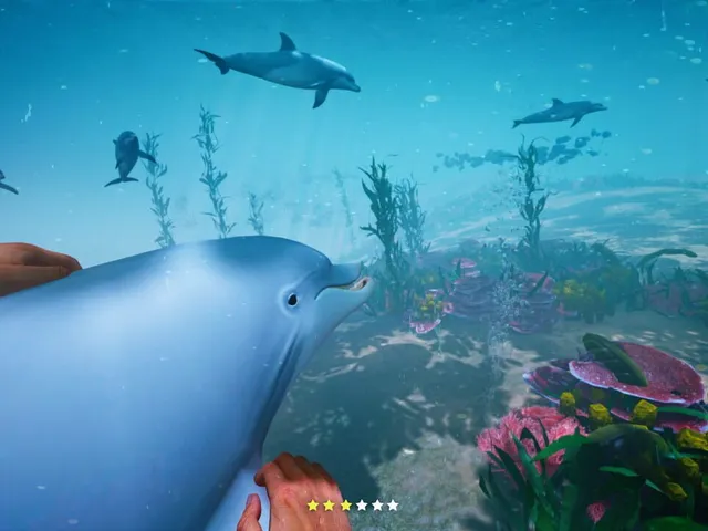 Dolphin Trainer VR