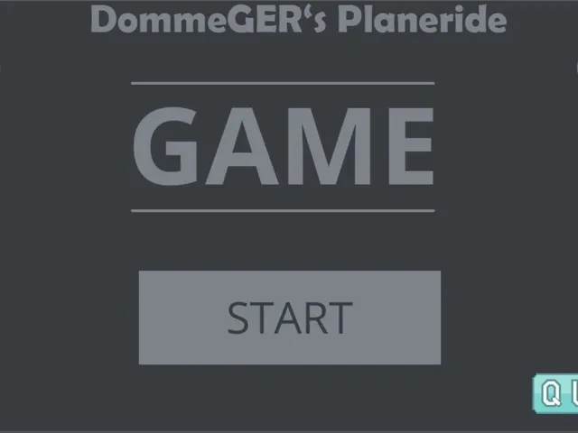 DommeGer's Plane