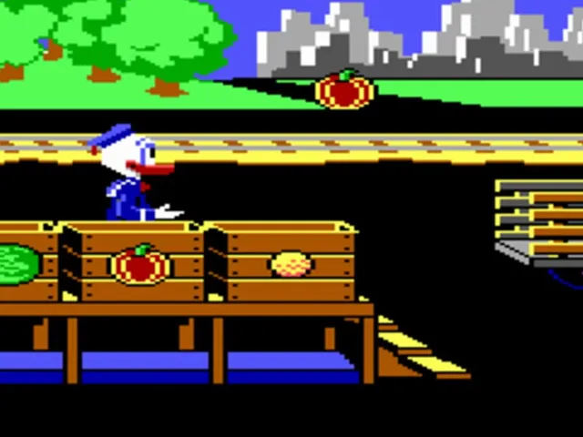 Donald Duck's Playground