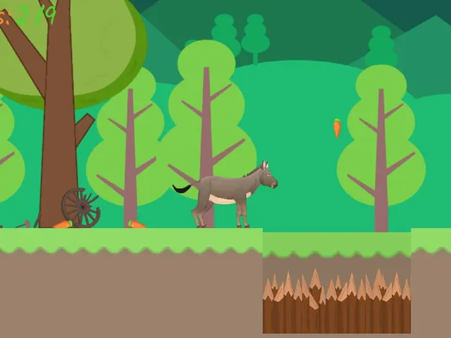 Donkee's Adventure