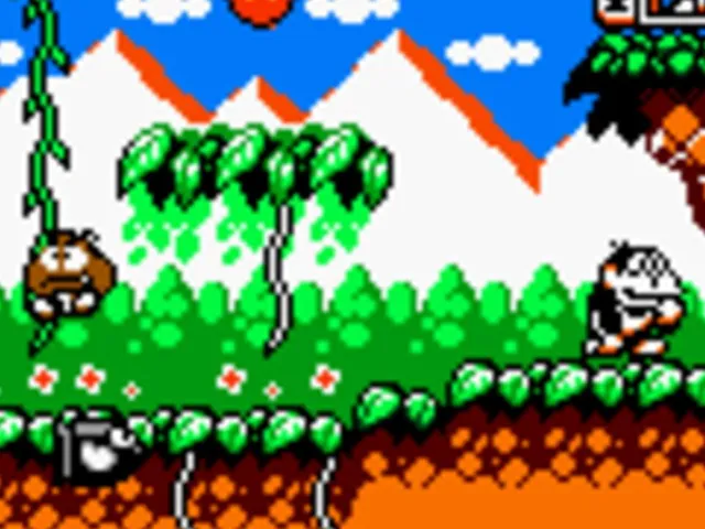 Donkey Kong Jr.