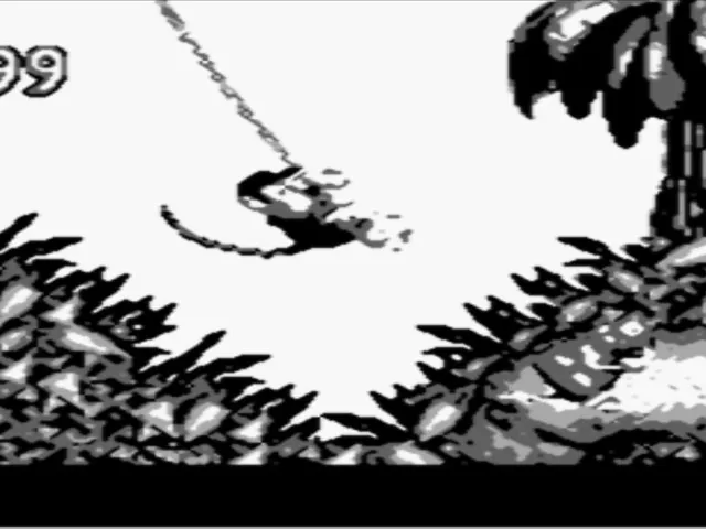 Donkey Kong Land