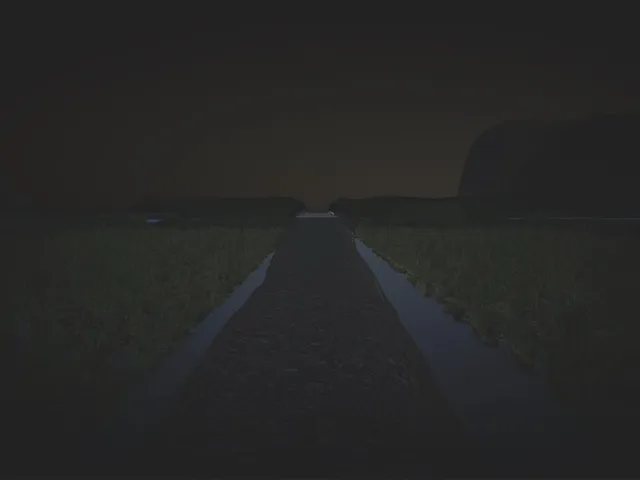 Don't Look Back