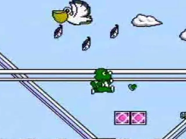 Dooly Bravo Land