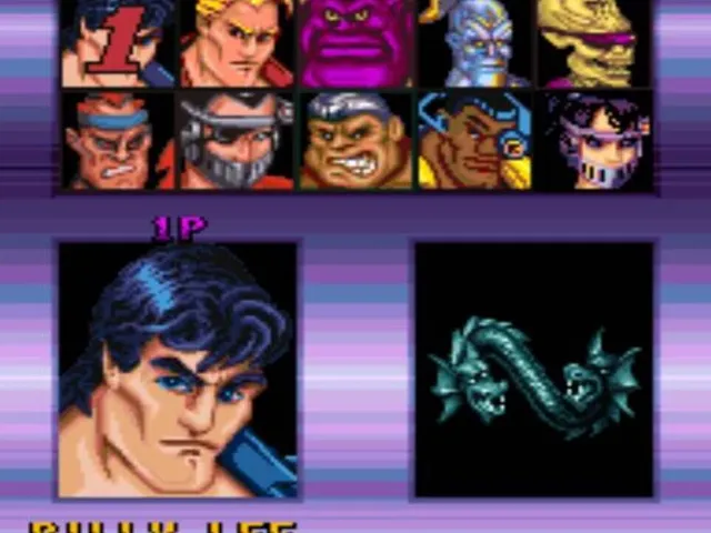 Double Dragon V: The Shadow Falls