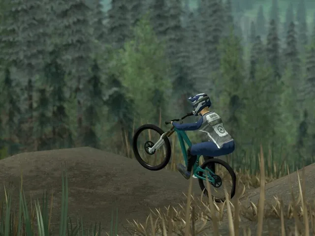 Downhill Pro Racer