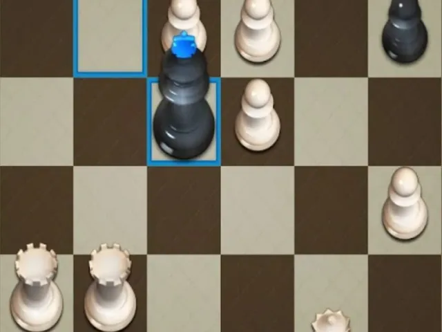 Dr. Chess