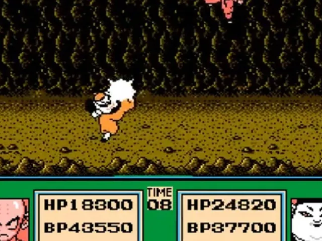 Dragon Ball Z: Gekitou Tenkaichi Budoukai