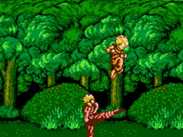 Dragon Ball Z: Super Butouden 2