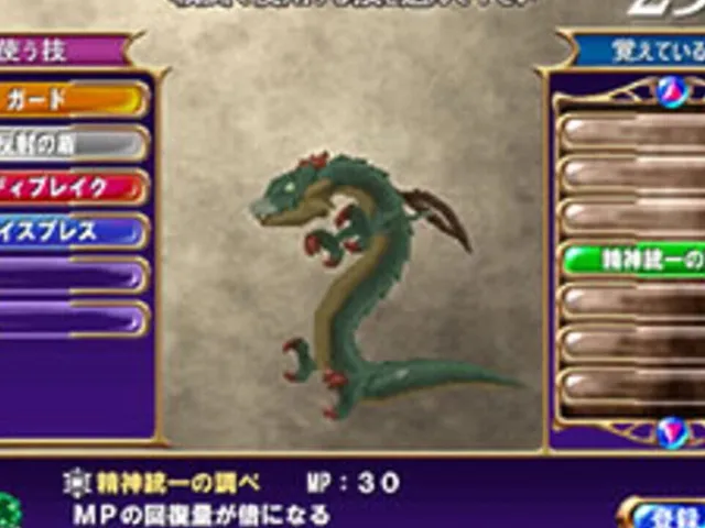Dragon Chronicle