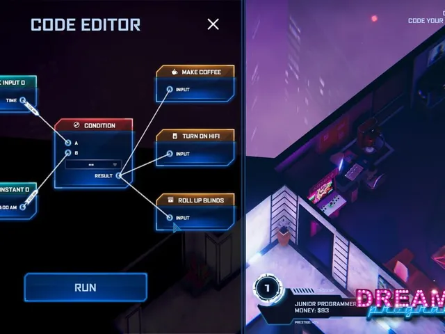 Dreamjob: Programmer