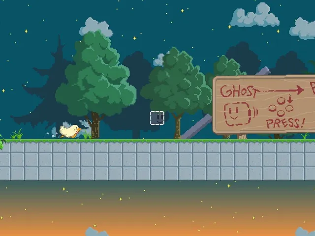 Duck Block