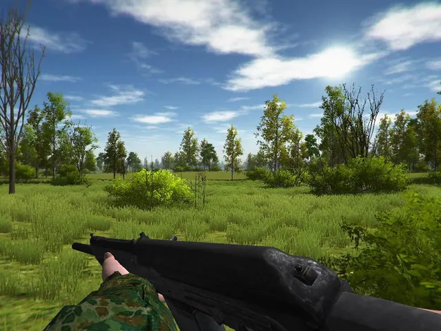 Duck Hunting