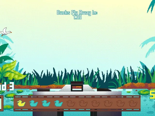 Duck Shoot