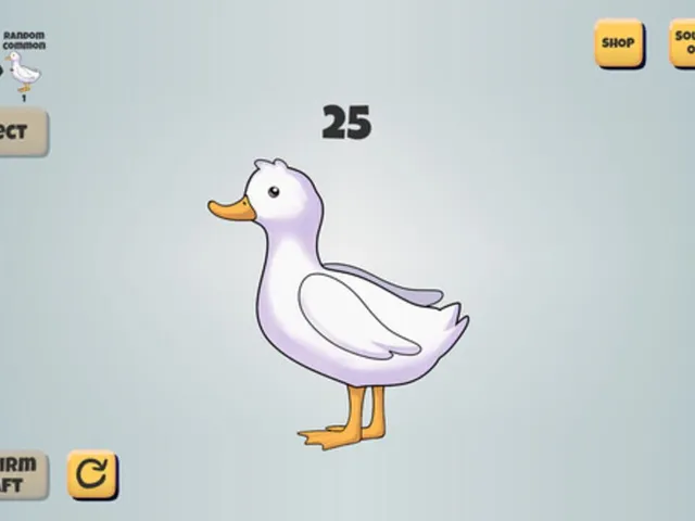 Ducks