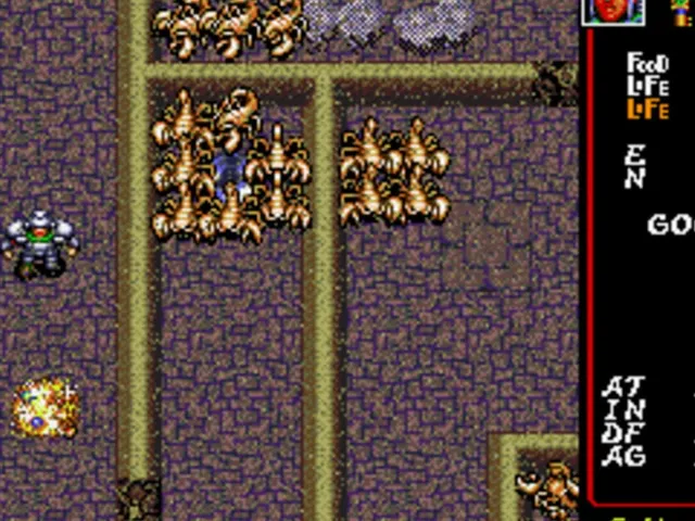 Dungeon Explorer