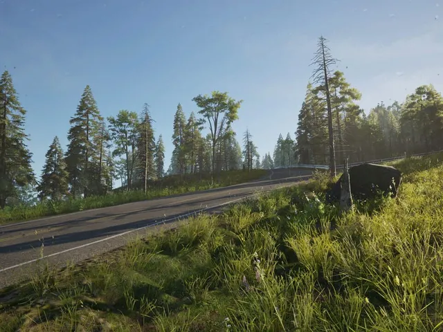 Easy Breezy Drive