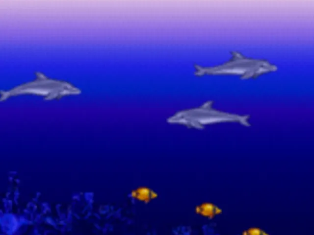 Ecco the Dolphin