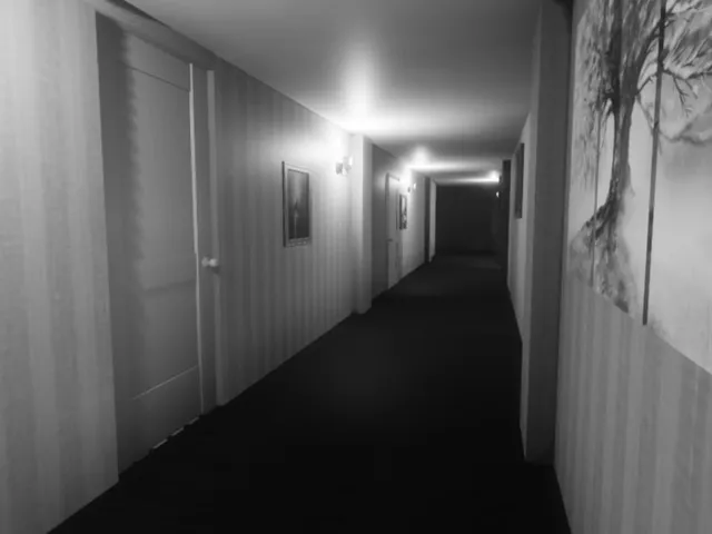 Echo