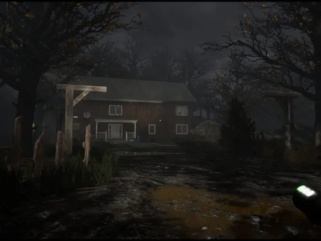 Echoes of the Woods