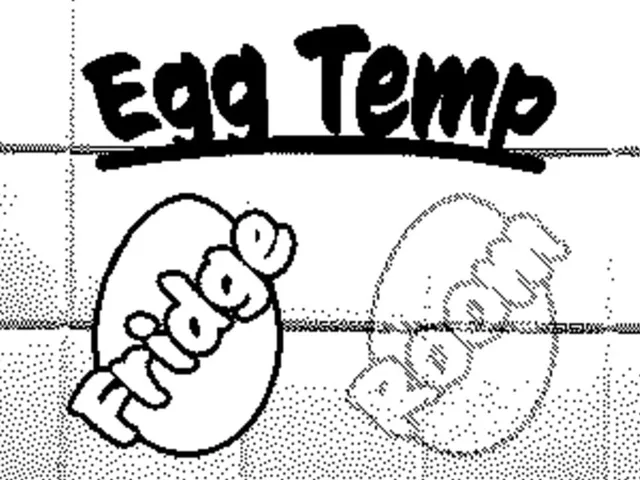 Egg Meister