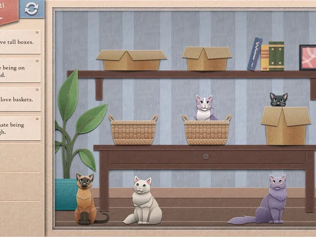 Einstein's Cats