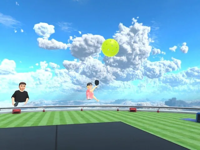 Eleven Pickleball